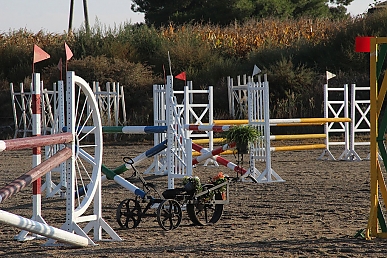 Memorial José Miguel Gan (2)