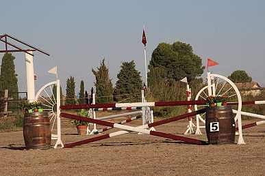 Memorial José Miguel Gan (7)