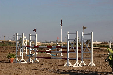 Memorial José Miguel Gan (8)