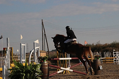 Memorial José Miguel Gan (9)