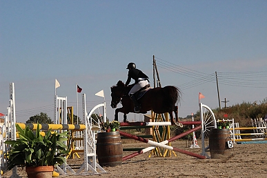 Memorial José Miguel Gan (5)