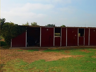 Boxes con Paddock