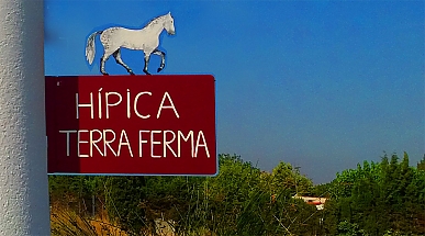 Bienvenido a Hípica Terra Ferma