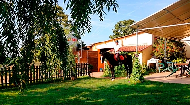 Clases particulares caballo Lleida