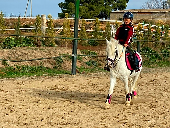 Pista de Doma en Lleida